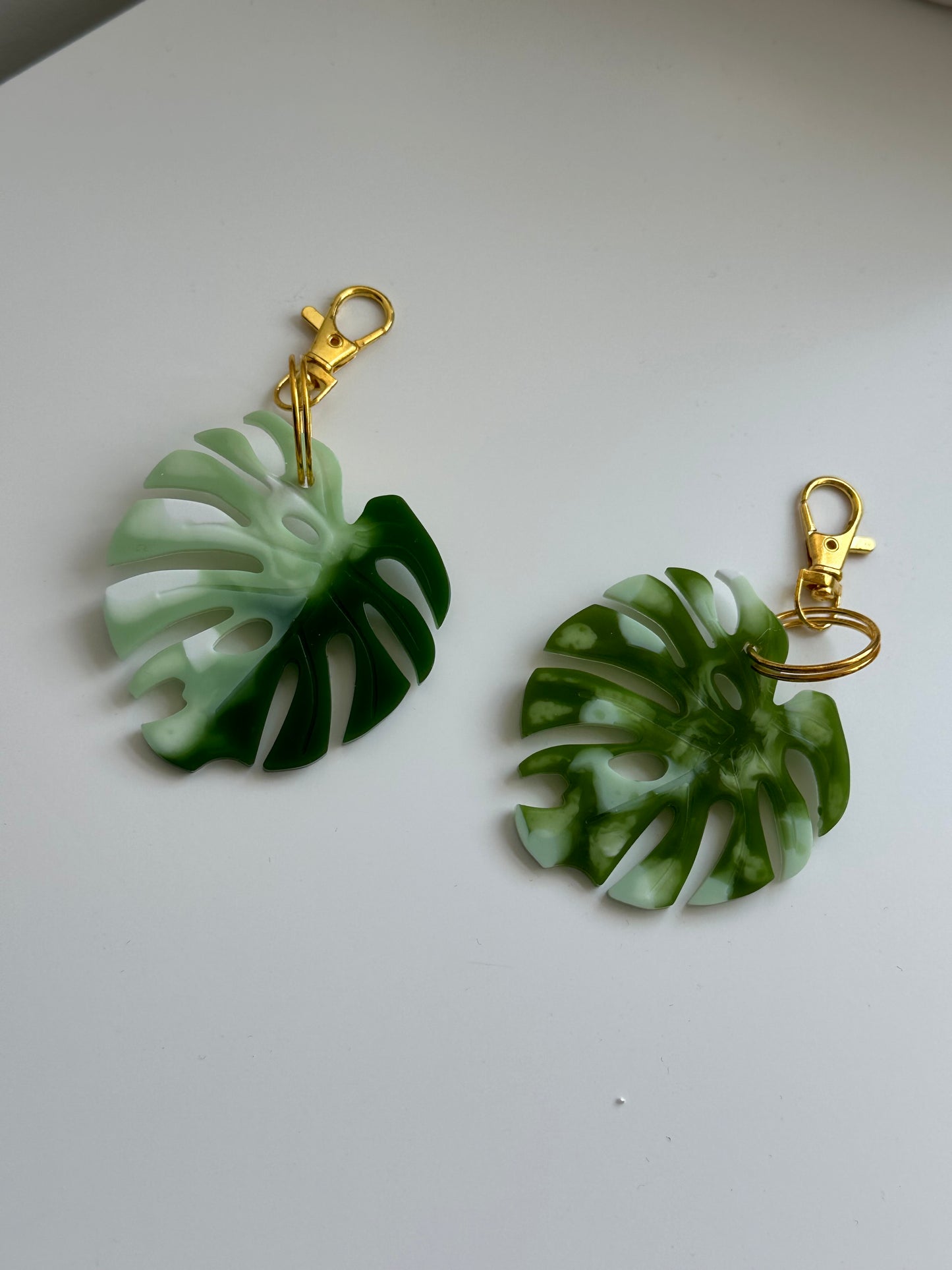 Monstera Keyring